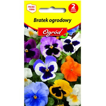 PlantiCo Bratek ogrodowy mieszanka