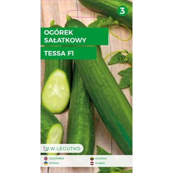 Ogórek Cucumis sativus Tessa F1 2.00g Legutko