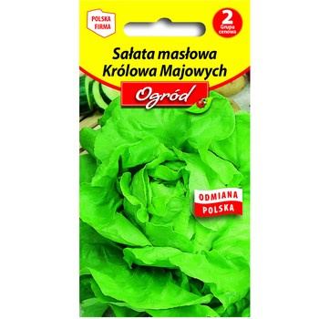 PlantiCo Sałata masłowa Królowa Majowych nasiona