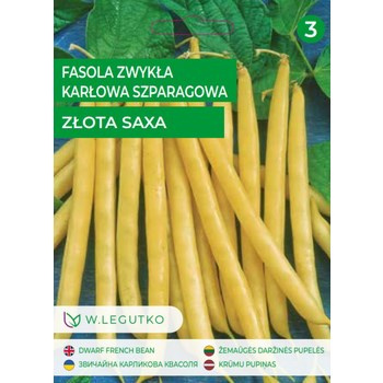 Fasola Złota Saxa Legutko