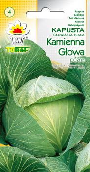 Kapusta głowiasta biała Kamienna Głowa