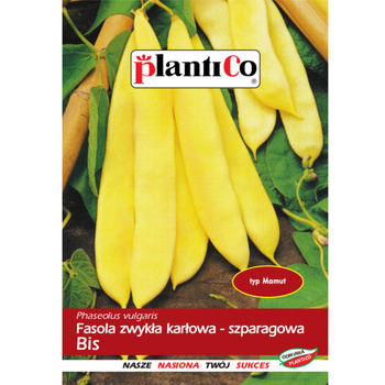 PlantiCo Fasola zwykła karłowa Bis