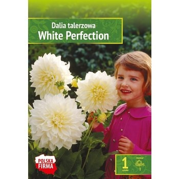 Kapers Dahlia - Dalia White Perfection 1 szt. Benex