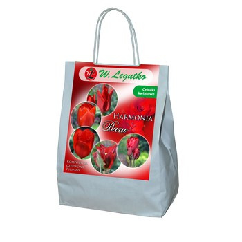 Kompozycja czerwona - Harmonia Barw Legutko