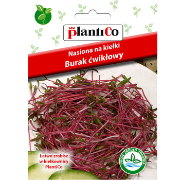 Nasiona na kiełki Burak ćwikłowy PlantiCo