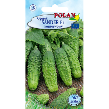 Ogórek Sander Polan