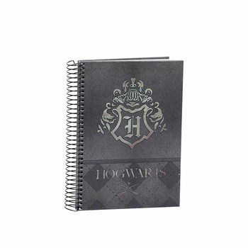 Kołobrulion szkolny w twardej oprawie A5 w kratkę 100 kartek -Grid Gold z kolekcji Harry Potter wzór 02388