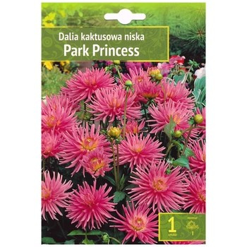 Kapers Dahlia - Dalia Park Princess 1 szt. Benex