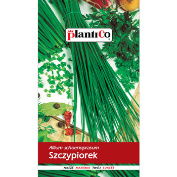 PlantiCo Szczypiorek czosnkowy