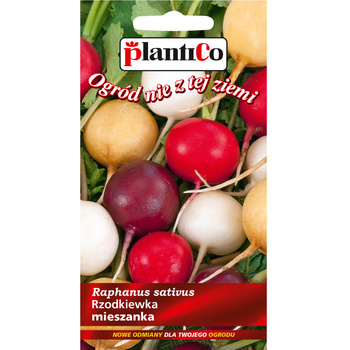 Rzodkiewka mieszanka PlantiCo