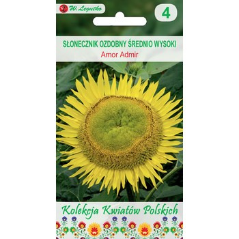Kwiaty Polskie - Słonecznik ozdobny Amor Admir - żółte Legutko