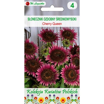 Kwiaty Polskie - Słonecznik ozdobny Cherry Queen - czerwone Legutko