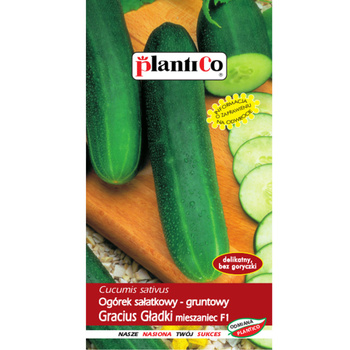 Ogórek sałatkowy Gracius Gładki mieszaniec F1 PlantiCo