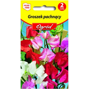 PlantiCo Groszek pachnący mieszanka