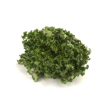 SAŁATA FRISEE KL.I POLSKA 1SZT