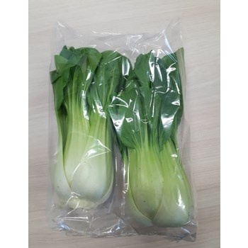 KAPUSTA PAK CHOI HISZPANI 2SZT