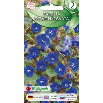Facelia dzwonkowata Phacelia campanularia niebieskie 0.50g Legutko