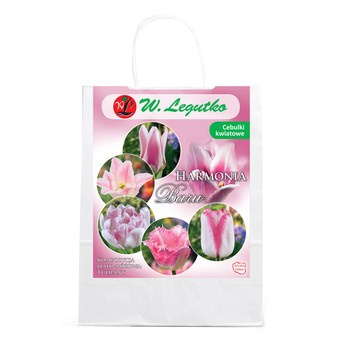 Kompozycja biało-różowa Legutko