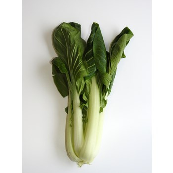 KAPUSTA PAK CHOI POLSKA 1SZT