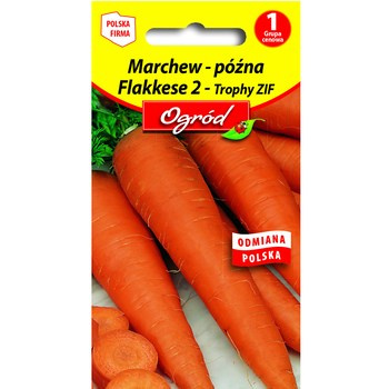 PlantiCo Marchew późna - Flakkese 2 - Trophy ZIF nasiona