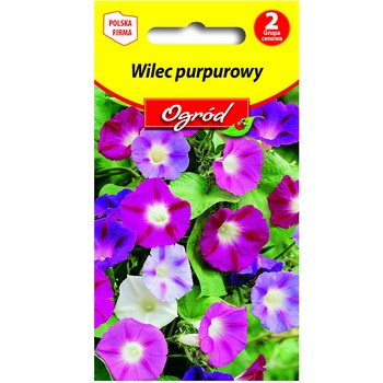 PlantiCo Wilec purpurowy mieszanka