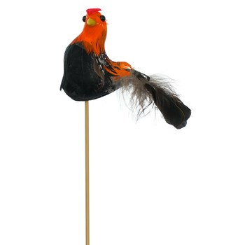 JUMI Kura na piku - mix wzorów i kolorów