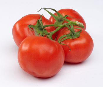 Bio-pomidor okrągłygałązka 500g