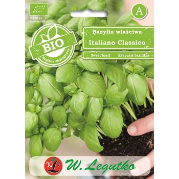 Bazylia właściwa zielona Italiano Classico Legutko
