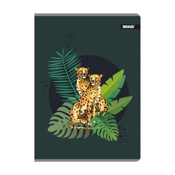 Zeszyt A4 60 kartek, kratka, Premium Soft, Beniamin