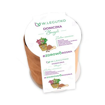 Zestaw bazylii Legutko