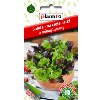 Sałata mieszanka, kolorowe cięte listki PlantiCo