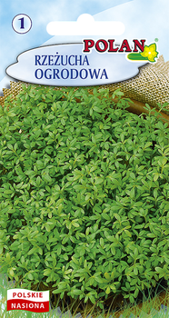 Rzeżucha Polan