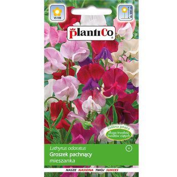 PlantiCo Groszek pachnący mieszanka