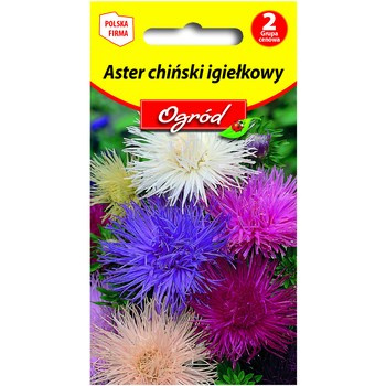 PlantiCo Aster chiński igiełkowy mieszanka
