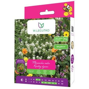 Kwietny dywan - mieszanka kwiatów niskich 125g Legutko