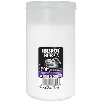 Wkład Parafinowy P500/~80h