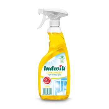 LUDWIK PŁYN D/SZYB CYTR.600ML