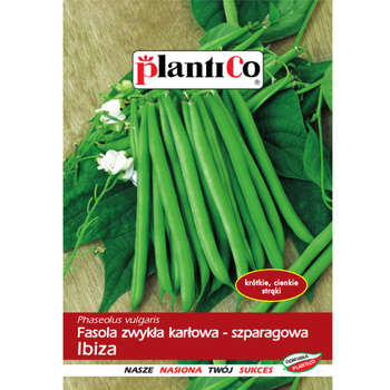 PlantiCo Fasola zwykła karłowa Ibiza