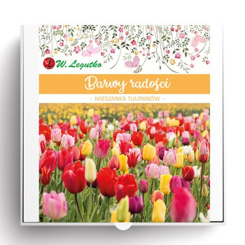 Barwy radości - kompozycja cebul kwiatowych Legutko