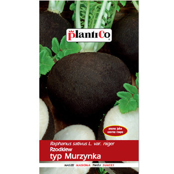 Rzodkiew typ Murzynka PlantiCo