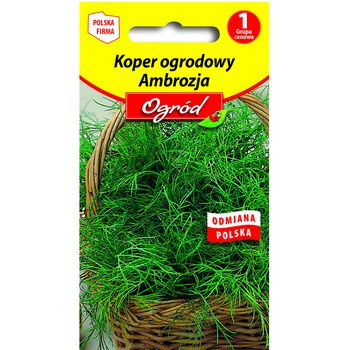 PlantiCo Koper ogrodowy Ambrozja nasiona
