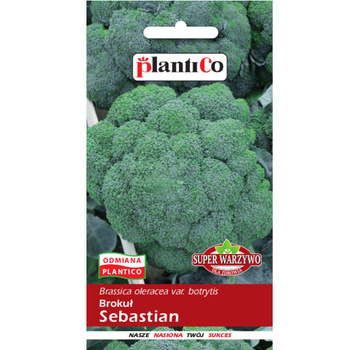 Brokuł Sebastian PlantiCo