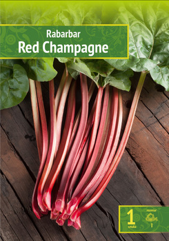 Rabarbar Red Champagne Wybór "I" 1 Szt.