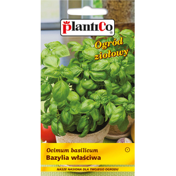 PlantiCo Bazylia właściwa
