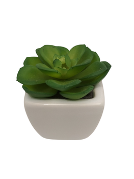 Sztuczny kaktus 6 cm Comfort Living