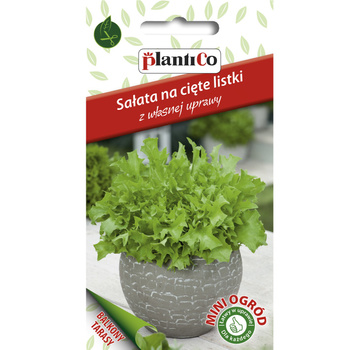 Sałata, na cięte listki, kędzierzawa zielona PlantiCo