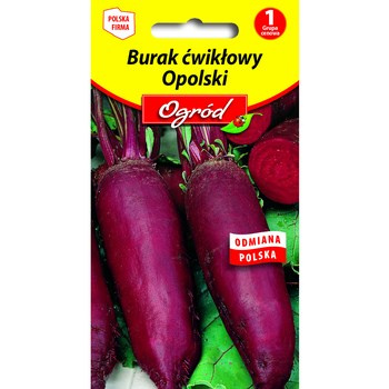 PlantiCo Burak ćwikłowy Opolski nasiona