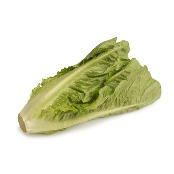 SAŁATA RZYMSKA KL.I POL 1SZT