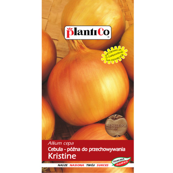 Cebula Kristina PlantiCo