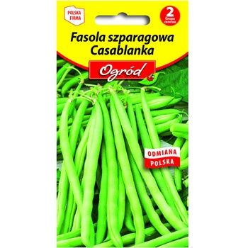 PlantiCo Fasola zwykła karłowa szparagowa Casablanka nasiona